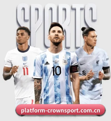 全景赛事版块覆盖,从极速推送至深度解构